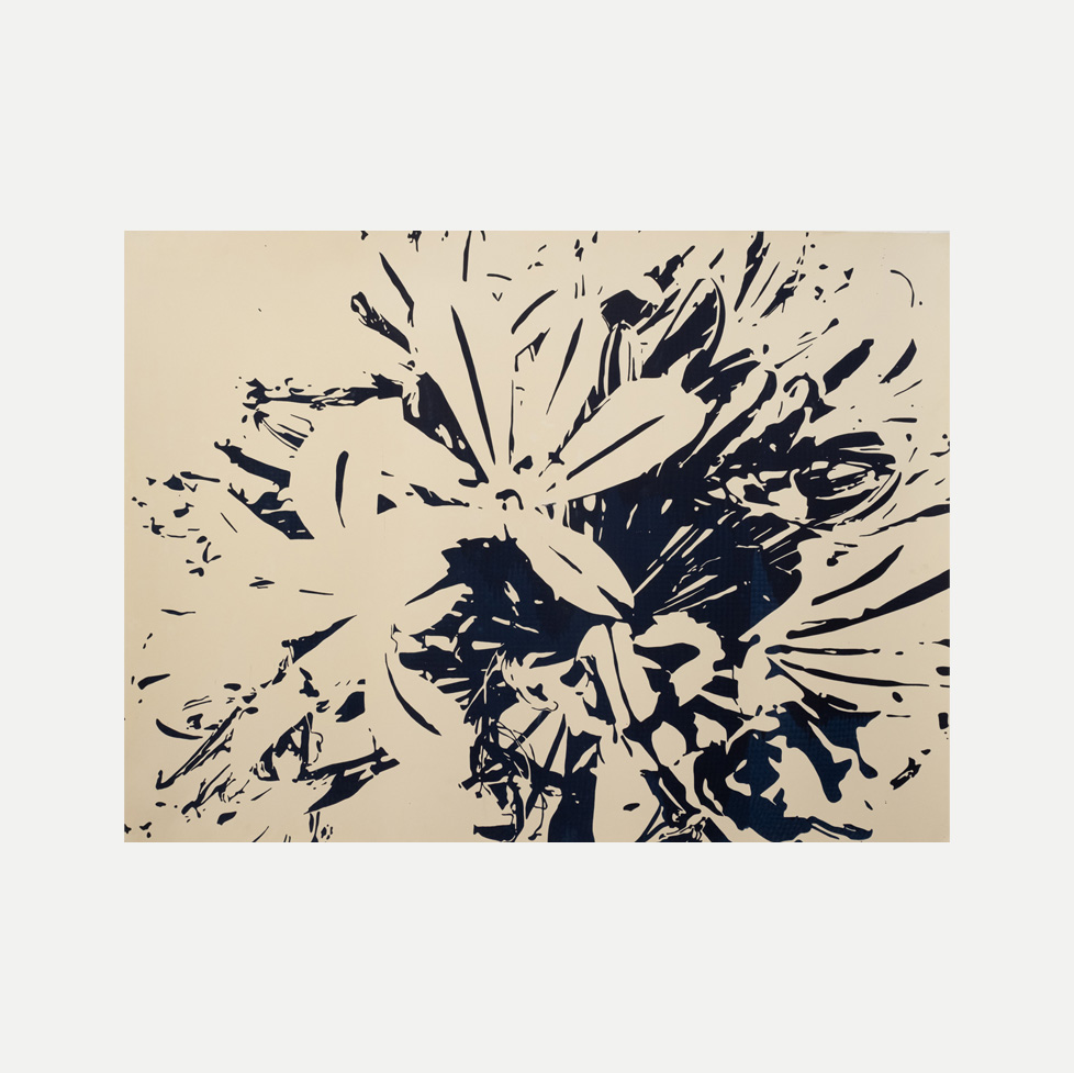Agapanthus-Exploded-III-01-1